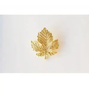 Broche hoja parra