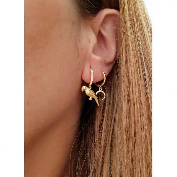 Aros loros - Imagen 2