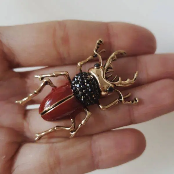Broche escarabajo
