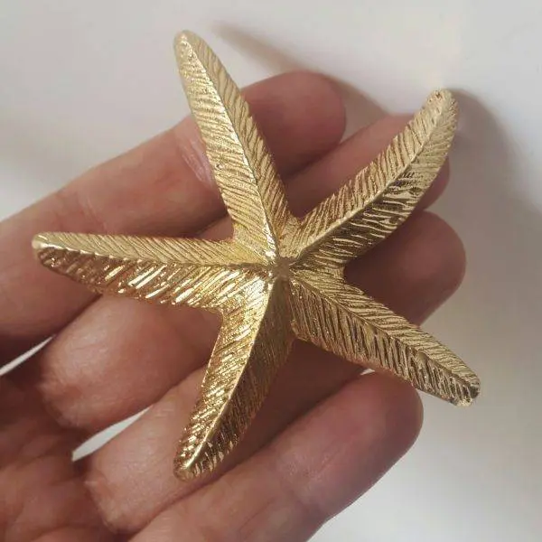 Broche Estrella mar