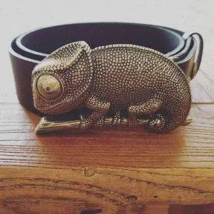 cinturón camaleón