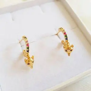 Aritos zorro multicolor