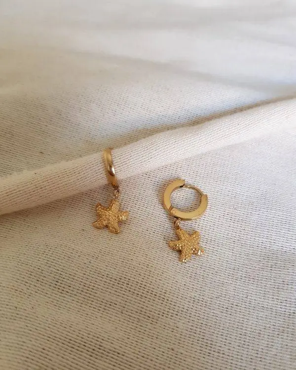 Aritos estrella de mar