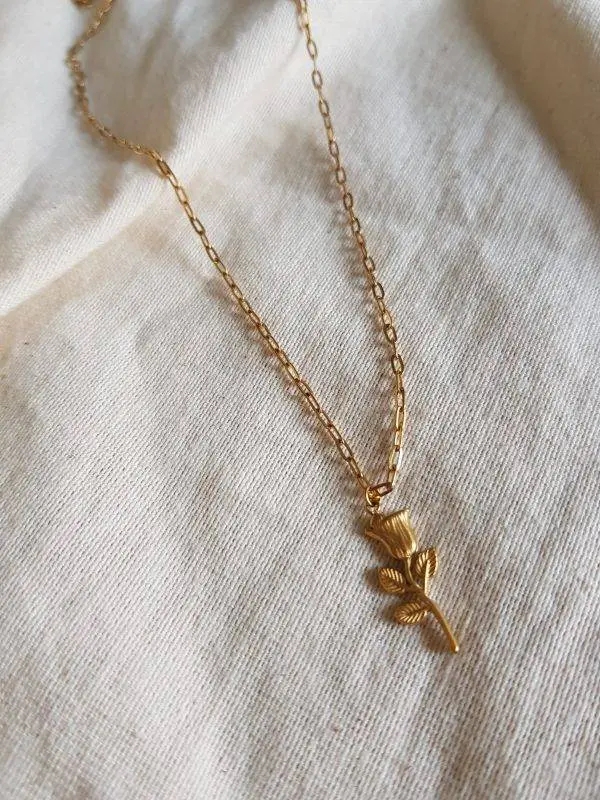 Collar Rosa