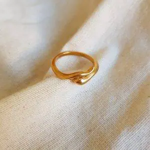 Anillo serpiente basic