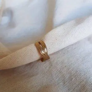 Anillo lazo