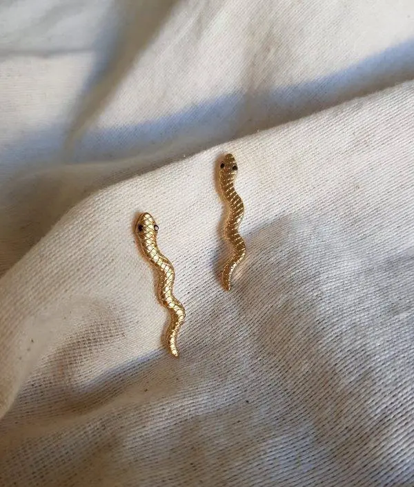 Serpiente basic