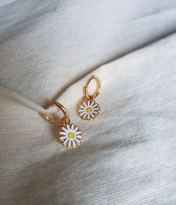 Aritos Daisy flower