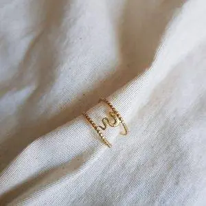 Anillo double snake