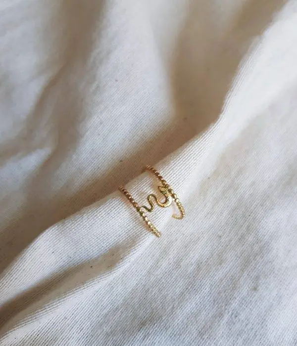 Anillo double snake