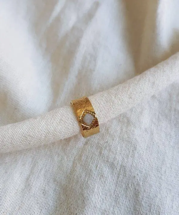 Anillo bolonia