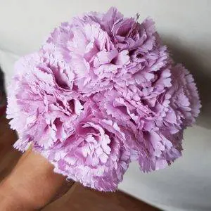 Ramillete claveles malva