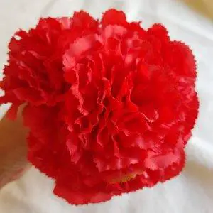 Ramillete claveles rojo