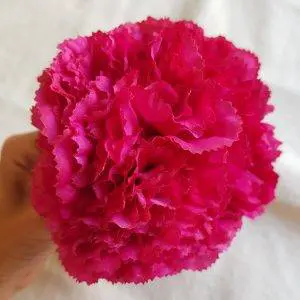 Ramillete claveles buganvilla