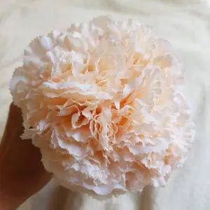 Ramillete claveles color marfil