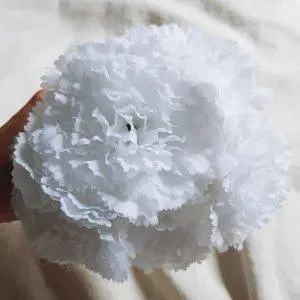 Ramillete claveles blanco