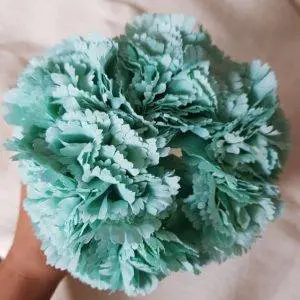 Ramillete claveles verde agua