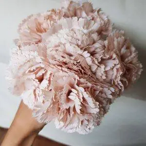 Ramillete claveles maquillaje