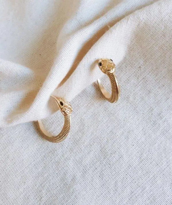 Aros serpiente