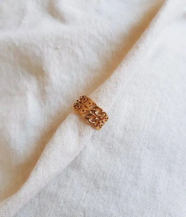 Anillo estribo
