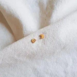 Minis comecocos