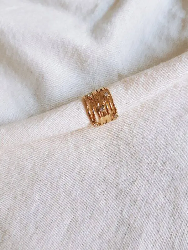 Anillo winter