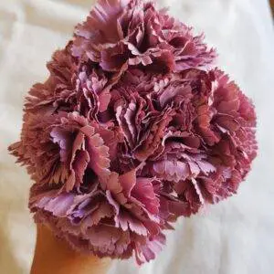 Ramillete claveles Malva