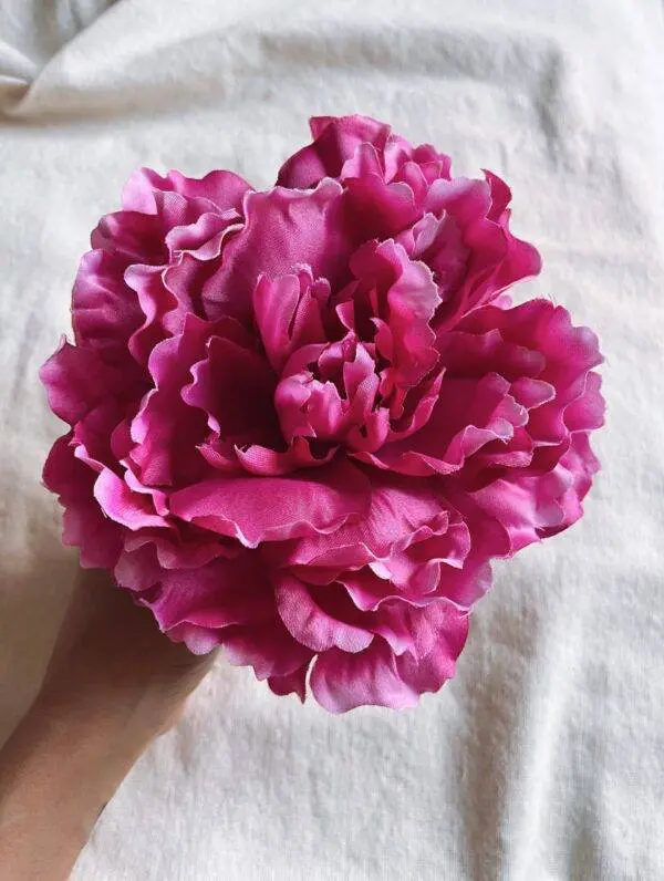 Peonía rosa fucsia