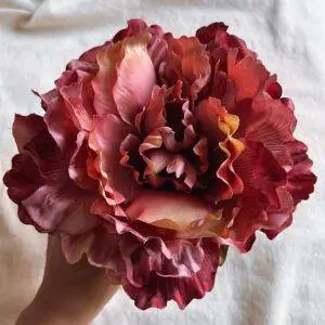 Peonía tostado