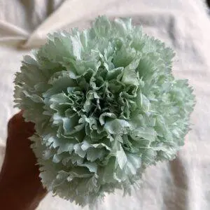 Ramillete claveles verde menta