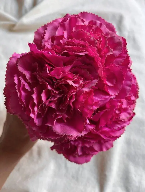 Ramillete claveles rosa fucsia