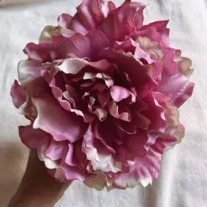 Peonía rosa vintage