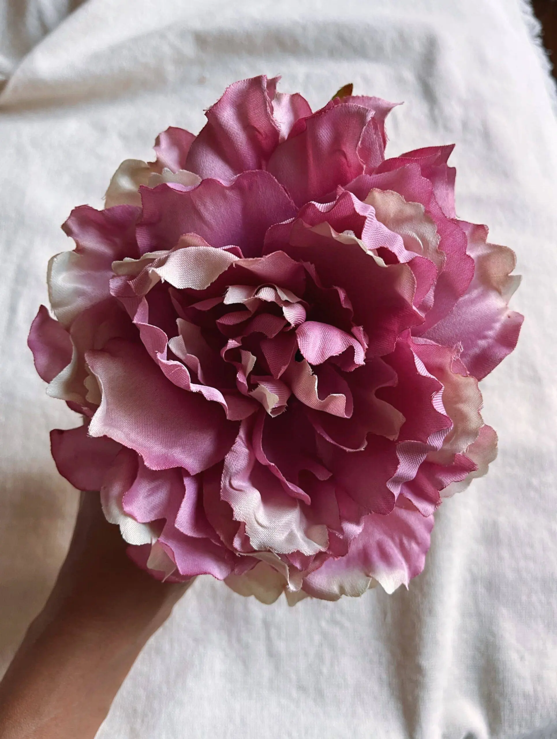 Peonía rosa vintage