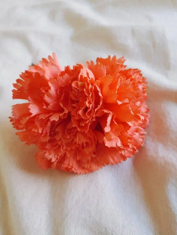 Ramillete claveles coral