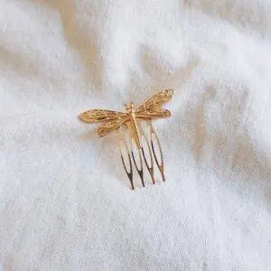 Peinecillo libélula