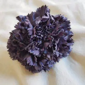Ramillete claveles azul índigo
