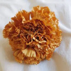 Ramillete claveles mostaza