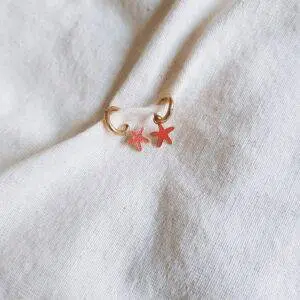 Aritos Estrella de mar