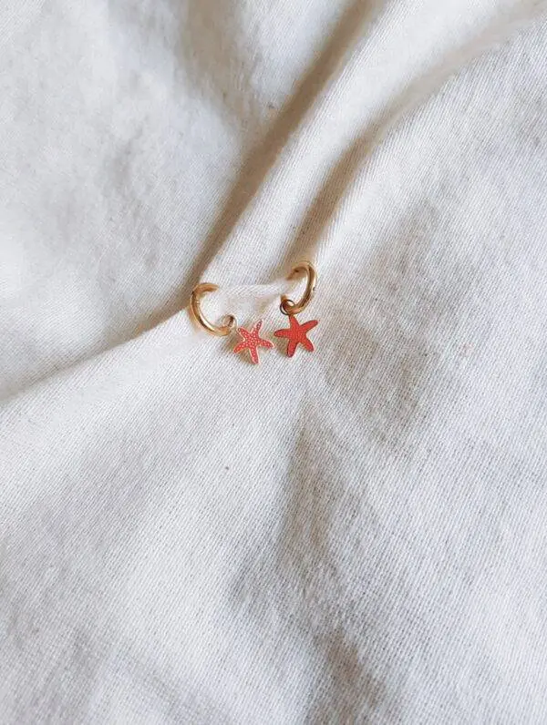 Aritos Estrella de mar