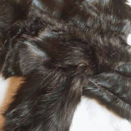 Cuello pelo negro - Imagen 2