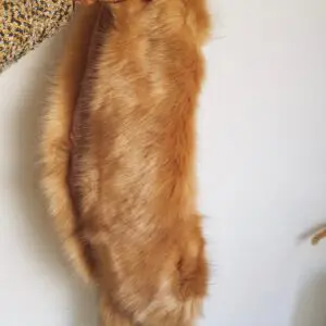 Cuello pelo invitada beige