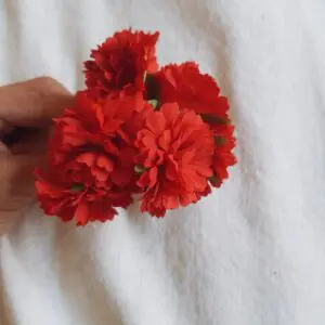 Ramillete mini claveles