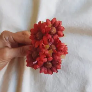 Ramillete mini margaritas roja