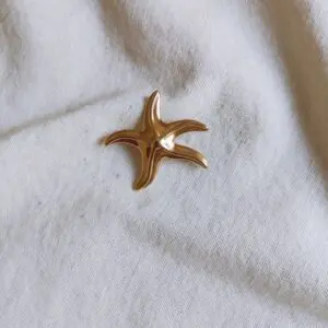 Broche estrella mar mini