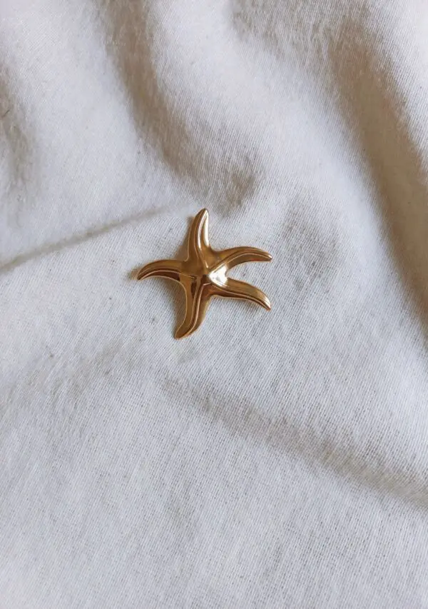 Broche estrella mar mini
