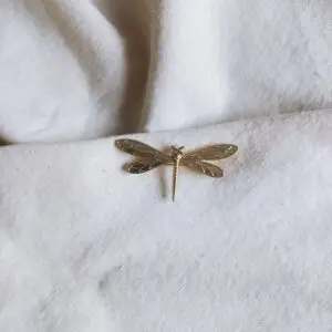 Broche Libelula new
