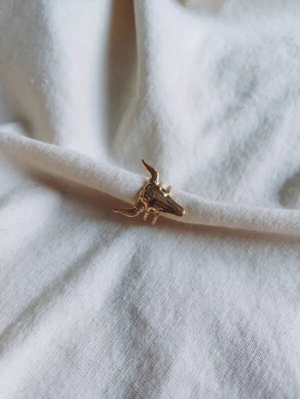 Anillo Bufalo - Imagen 2