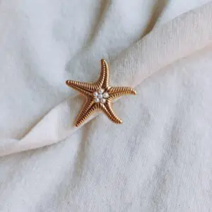 Anillo Estrella Mar