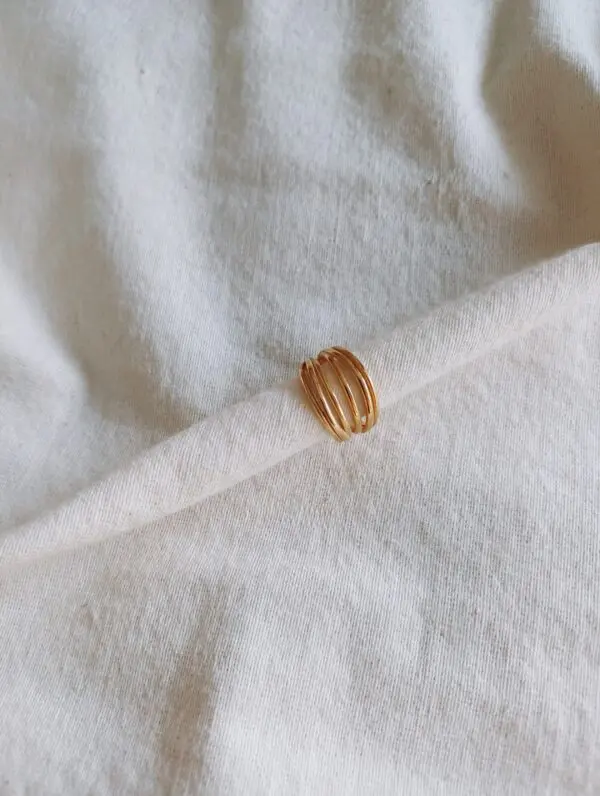 Anillo lines