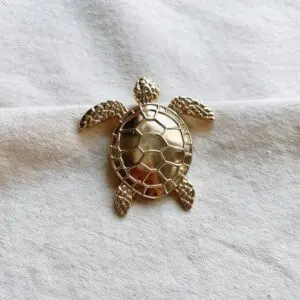 Broche tortuga